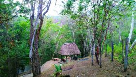 Private proterty with walkways and a palapa, San Ignacio, Cayo District, Belize – Best Places In The World To Retire – International Living